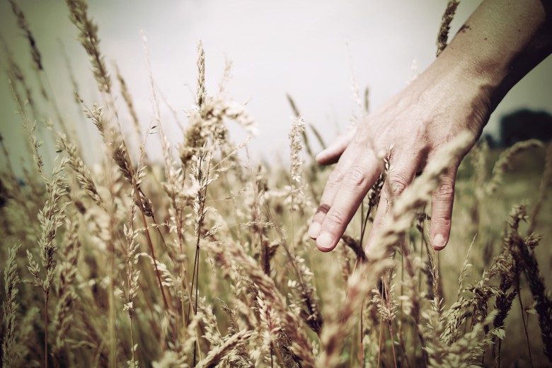 Uncovering life